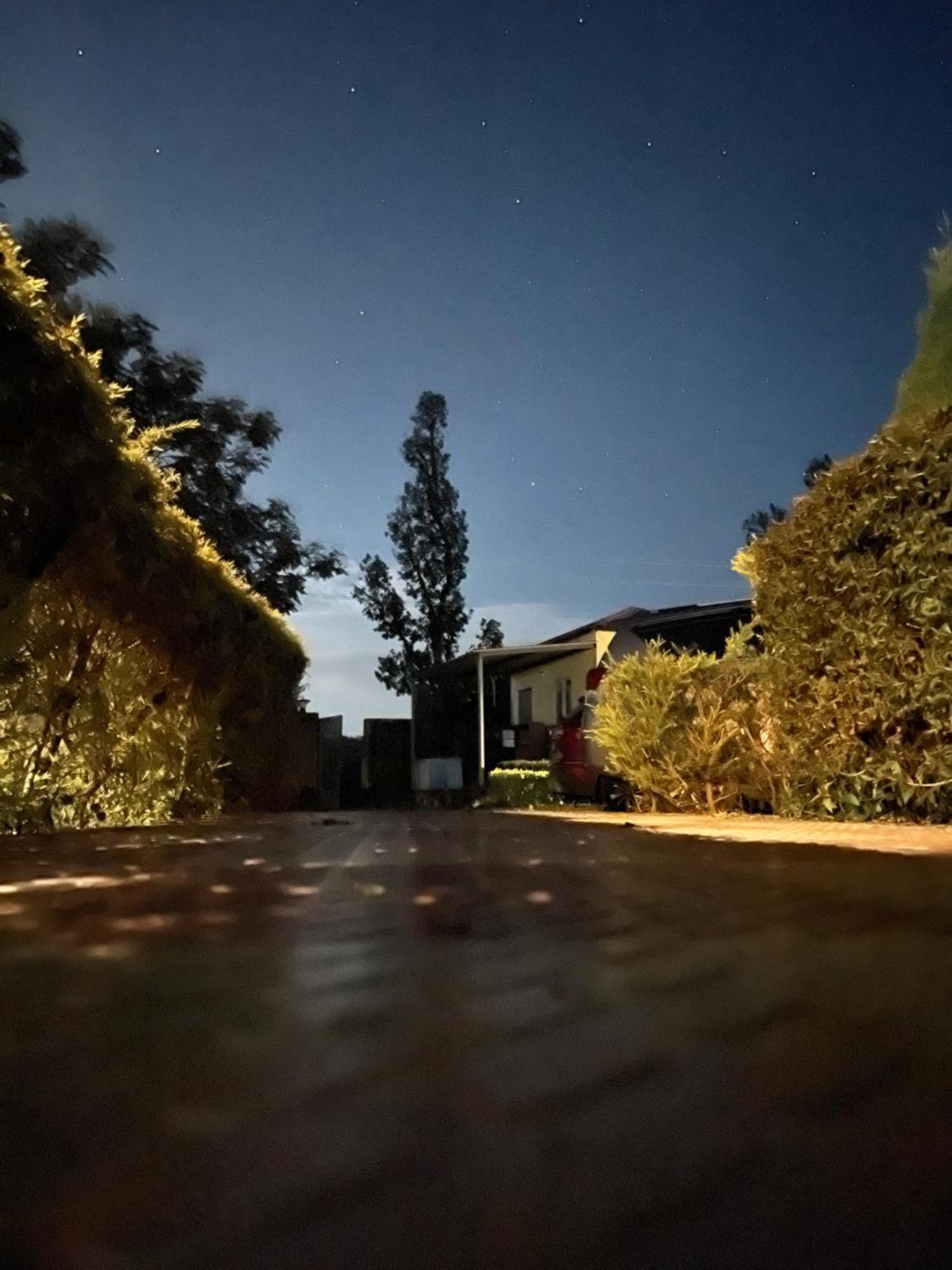 Hidden Nature Resort Ντεχραντούν Εξωτερικό φωτογραφία